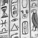 heiroglyphs